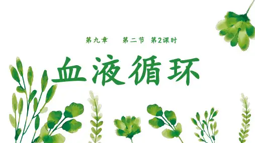 9.2++血液循环课件2023--2024学年北师大版生物七年级下册