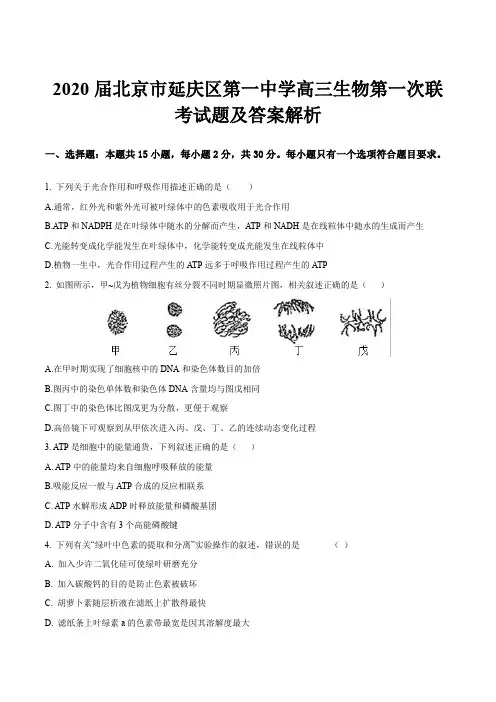 2020届北京市延庆区第一中学高三生物第一次联考试题及答案解析