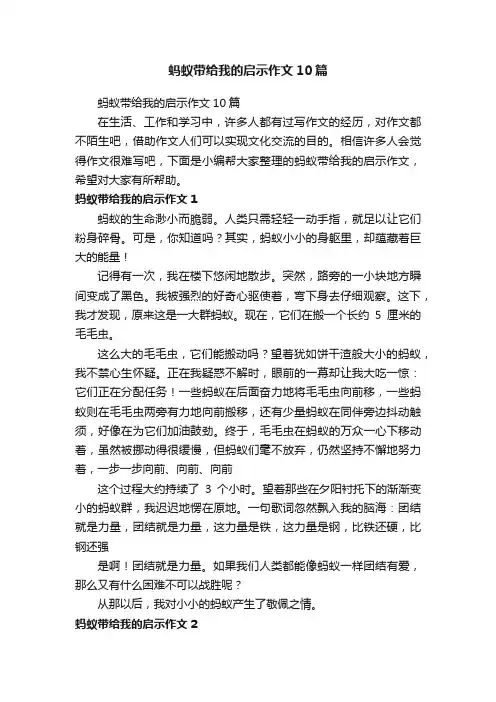 蚂蚁带给我的启示作文10篇