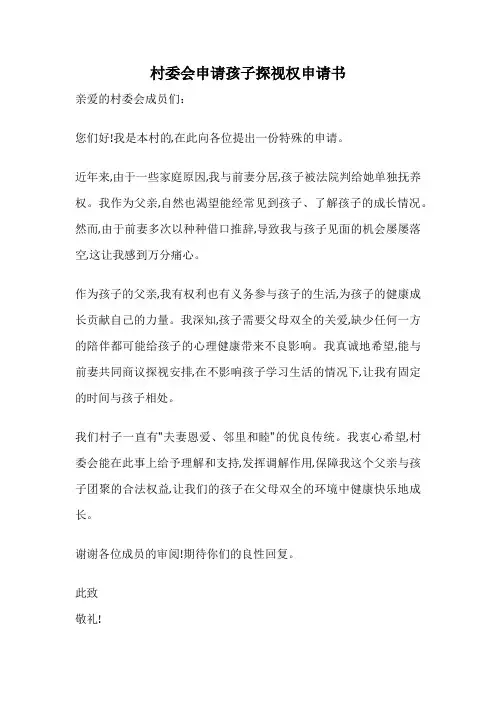 村委会申请孩子探视权申请书