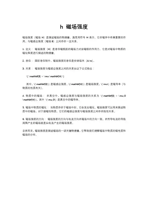 h 磁场强度