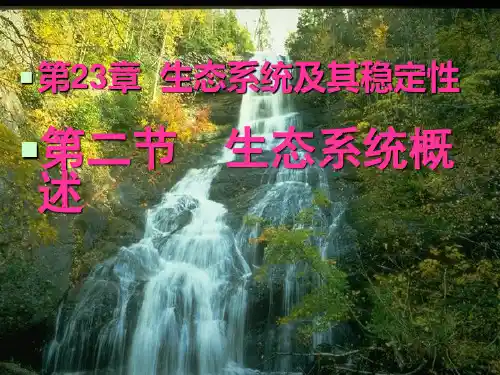 北师大版八下生物 23.2生态系统概述 PPT课件