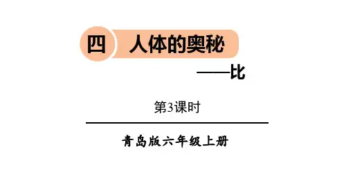 青岛版六年级上册数学《人体的奥秘》PPT教学课件(第3课时)