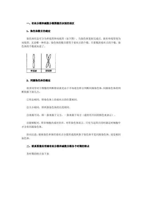 生物_有丝分裂和减数分裂图解_区别和联系
