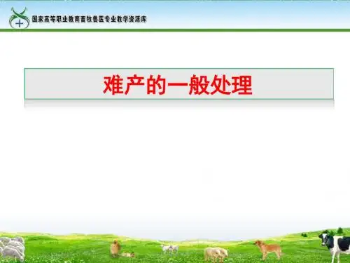 41-羊难产的一般处理 (田得红).