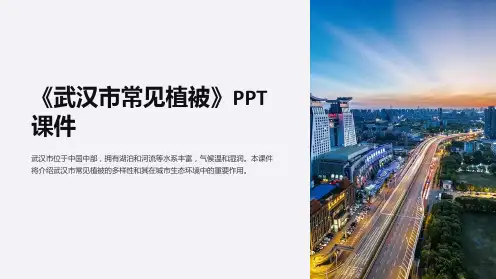 《武汉市常见植被》课件