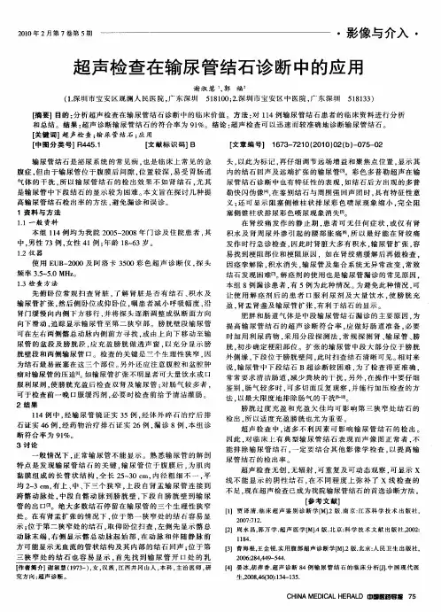 超声检查在输尿管结石诊断中的应用