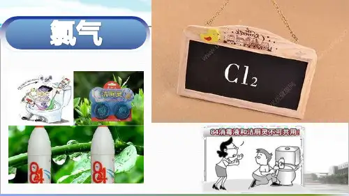 高中化学沪科版高一上学期 2.2.1 氯气性质的探究 课件(23张PPT)