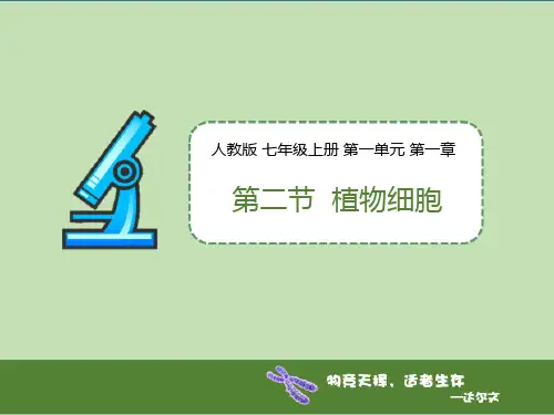 人教版七年级生物上册 植物细胞 新课件新