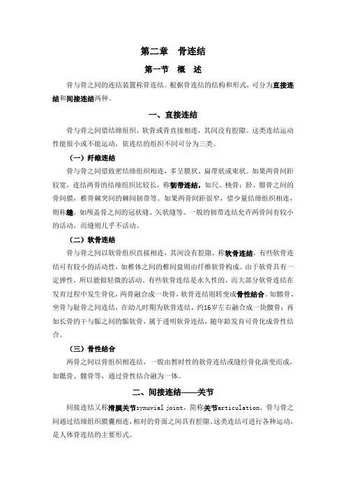 骨连结