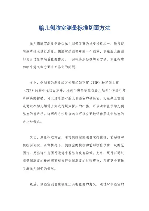 胎儿侧脑室测量标准切面方法