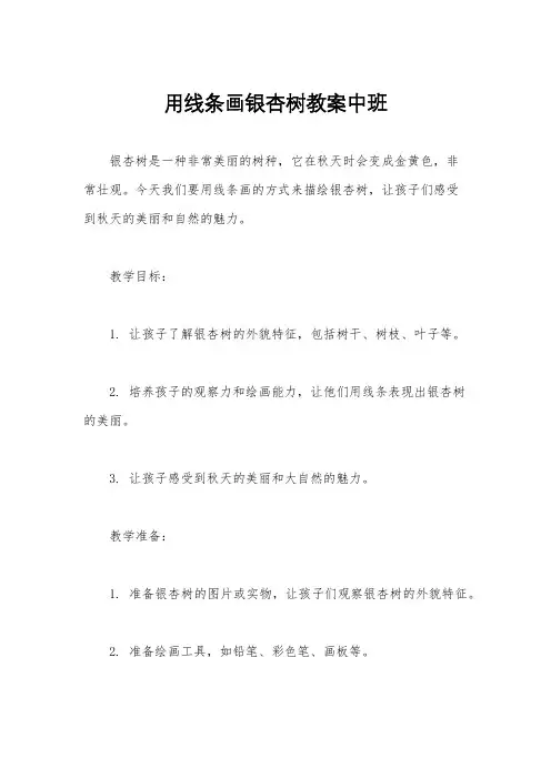 用线条画银杏树教案中班