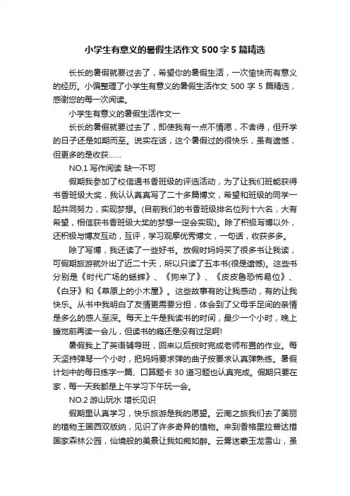小学生有意义的暑假生活作文500字5篇精选