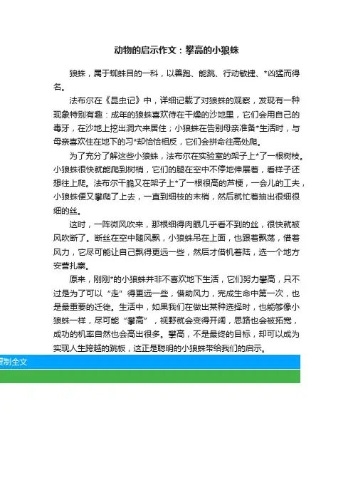 动物的启示作文：攀高的小狼蛛