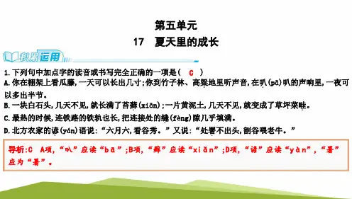 部编版六年级语文上册16《夏天里的成长》同步练习题课件(共16张图片PPT)