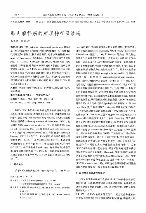 肺肉瘤样癌的病理特征及诊断