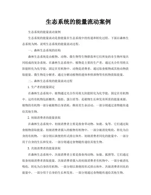 生态系统的能量流动案例
