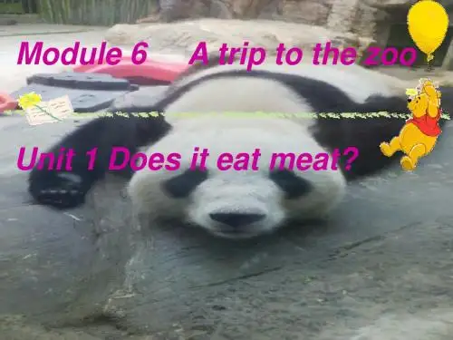 外研版七年级上册Module 6  A trip to the zooUnit 1 Does it eat meat