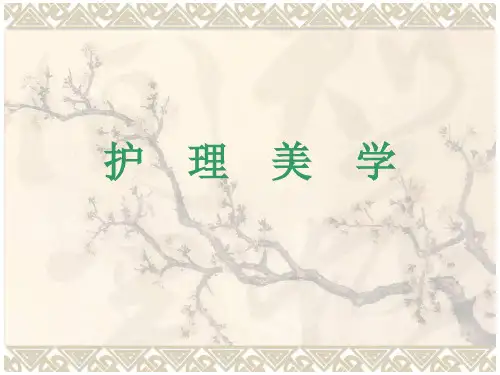 护理美学绪论