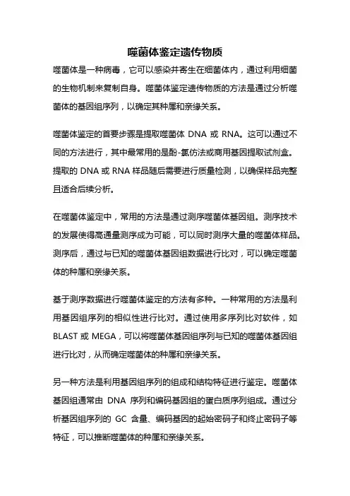 噬菌体鉴定遗传物质