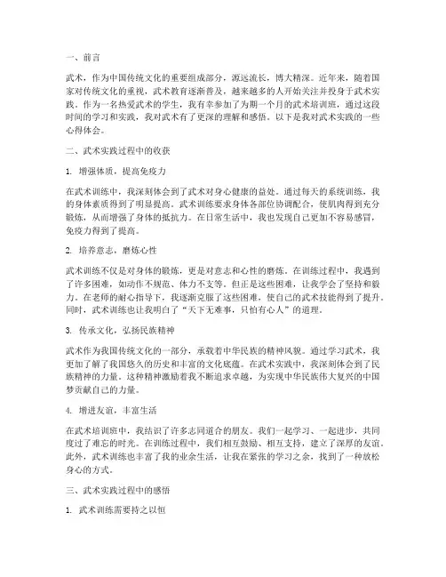 武术实践报告心得体会