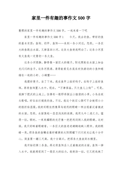 家里一件有趣的事作文500字