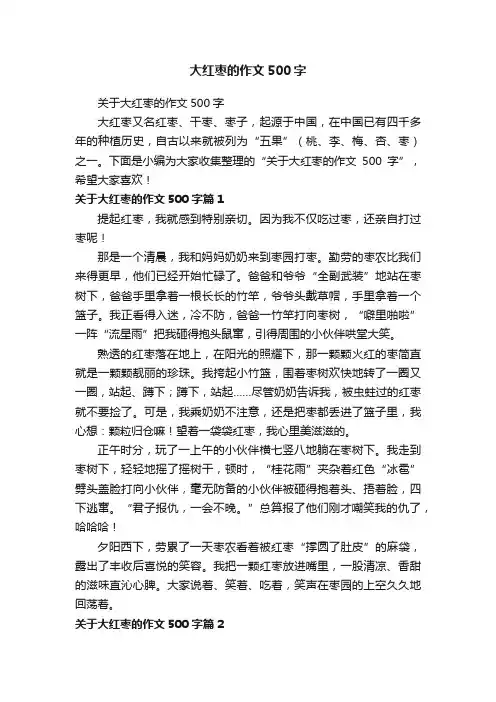 关于大红枣的作文500字
