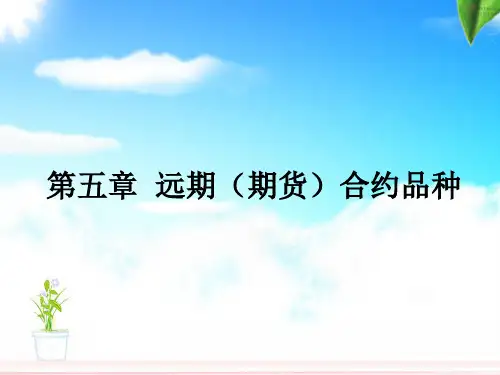第五章 远期(期货)合约品种