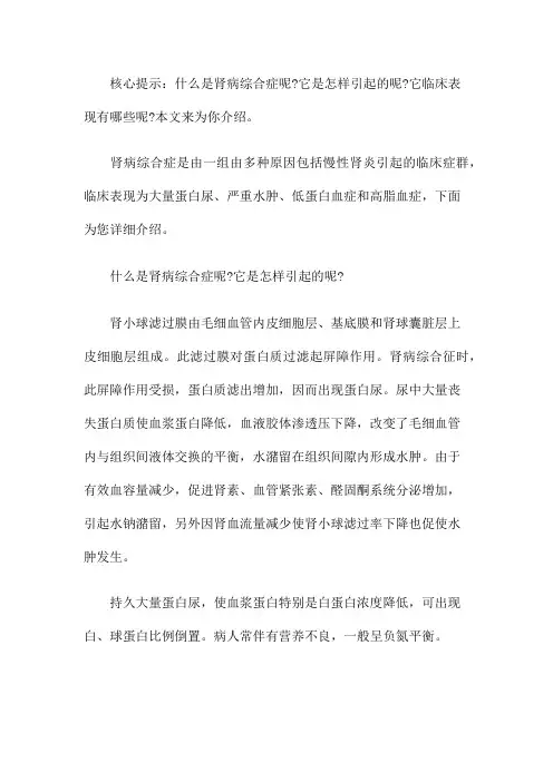 究竟什么是肾病综合症呢