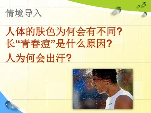 北师大版七年级生物下册4.11.3皮肤与汗液分泌(27张PPT)