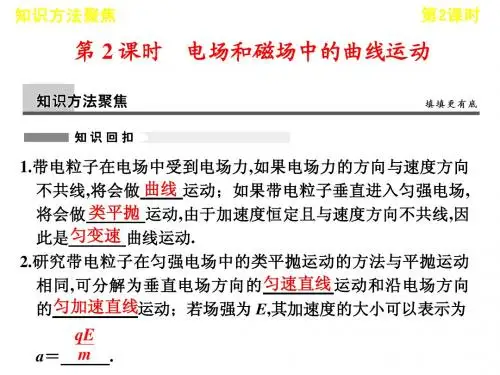 2013届高考物理二轮复习专题课件：专题三 第2课时 电场和磁场中的曲线运动