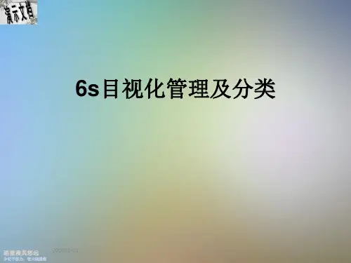 6s目视化管理及分类