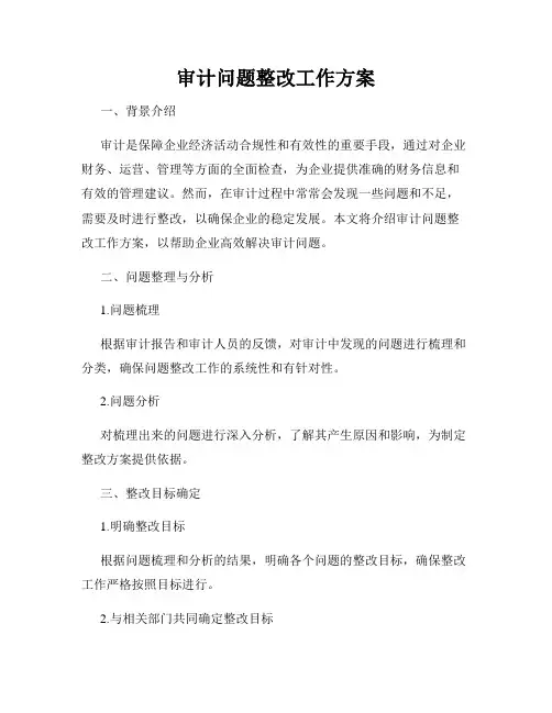 审计问题整改工作方案