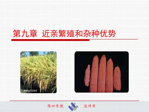 遗传学第九章近亲繁殖和杂种优势