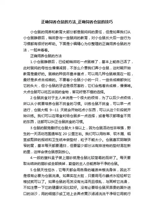 正确饲养仓鼠的方法_正确饲养仓鼠的技巧
