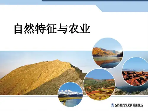 黑土地