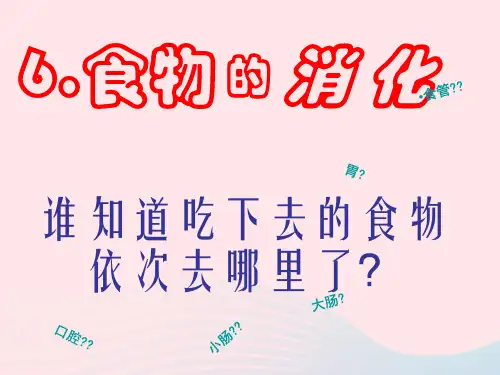 三年级科学上册第一单元生活中的食物第6课食物的消化课件3鄂教版