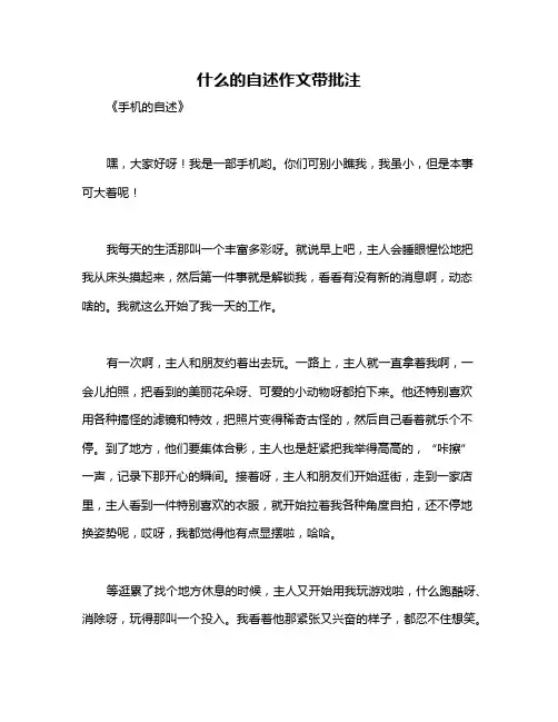 什么的自述作文带批注