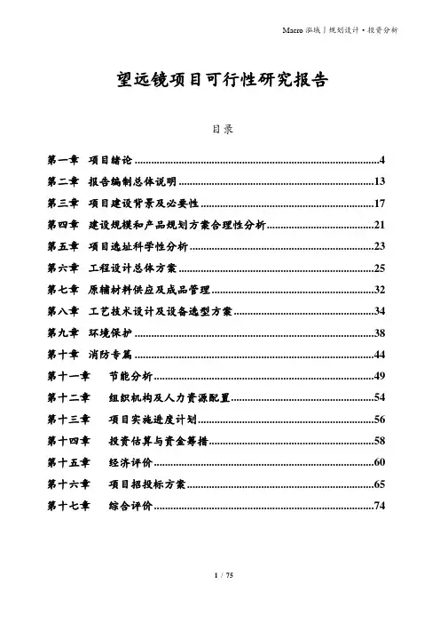 望远镜项目可行性研究报告