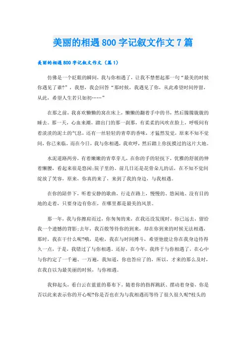美丽的相遇800字记叙文作文7篇