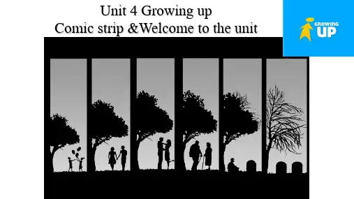 Unit 4 Welcome to the unit   课件 牛津译林版英语九年级上册