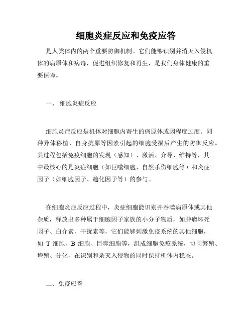 细胞炎症反应和免疫应答