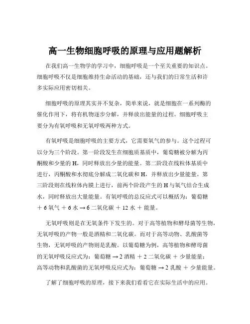 高一生物细胞呼吸的原理与应用题解析