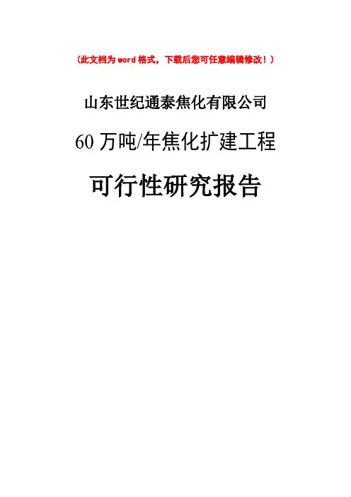(最新版)年产60万吨焦化扩建工程项目可行性研究报告