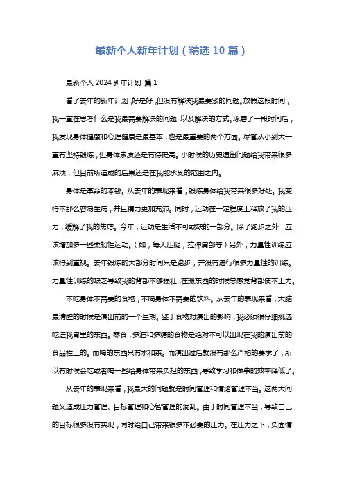 最新个人新年计划(精选10篇)