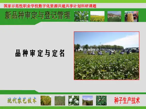 品种审定与定名