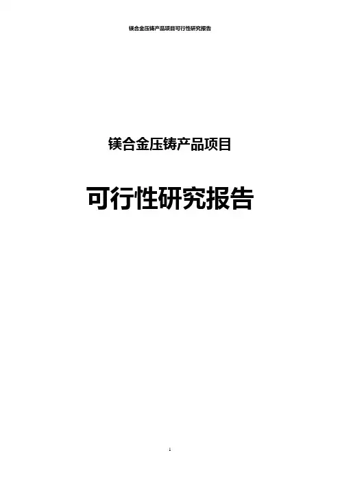 镁合金压铸产品项目可行性研究报告