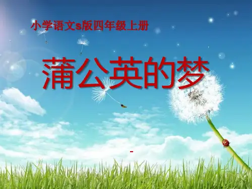 202X语文S版语文四上《蒲公英的梦》ppt课件3