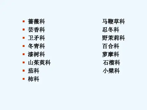 观果植物