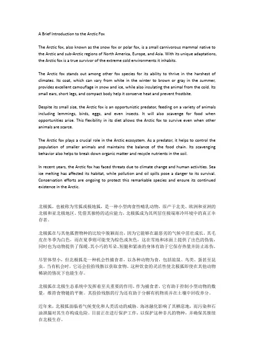 关于北极狐的简介英语作文40词